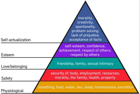 Maslow hierarchy of needs essay